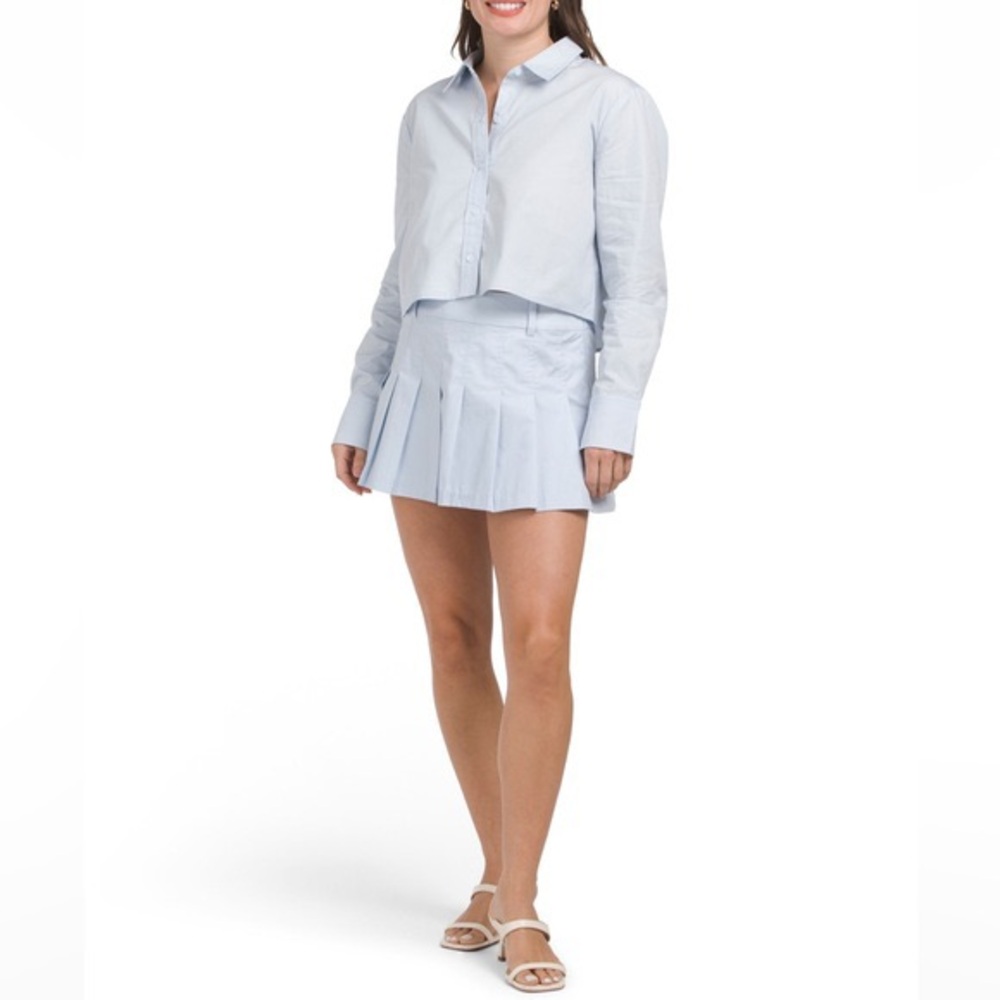 Wayf | Baby Blue Pleated Skirt Size L